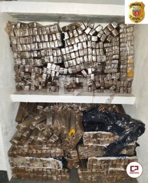 Polícia Civil de Mamborê incinera mais de meia tonelada de maconha
