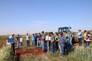 IDR-PR e Centro Universitário Integrado promovem Dia de Campo sobre manejo de solos, água e nematoides