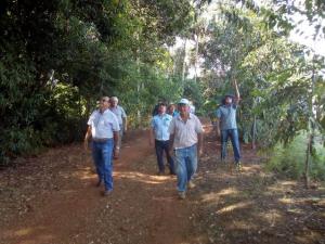 Dia de Campo rene agricultores familiares de Lunardelli e Barbosa Ferraz