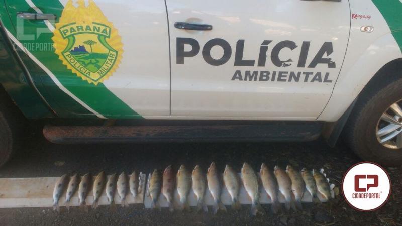 Dois pescadores de Cianorte so presos pela Polcia Ambiental de Umuarama com peixes fora da medida