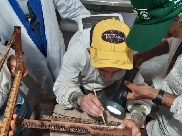 Barbosa Ferraz realiza curso de manejo avanado para a apicultura