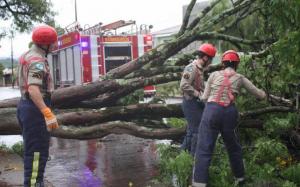 Tempestade derruba rvores, causa destelhamentos e gera prejuzos em CM