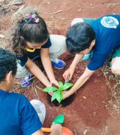 Escola Municipal Castro Alves conclui projeto Mil rvores em Campo Mouro