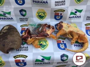 Polcia Ambiental de Umuarama resgata quati e pssaros mantidos em Cativeiro