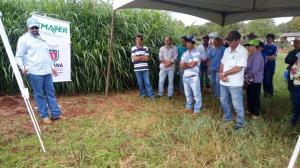 Instituto Emater de Nova Cantu realiza Manh de Campo sobre bovinocultura de leite.