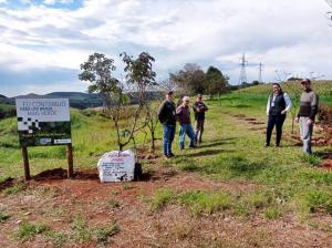 IDR-Paraná, IAT e M.A maquinas agrícolas comemoram a semana do Meio Ambiente com plantio de árvores