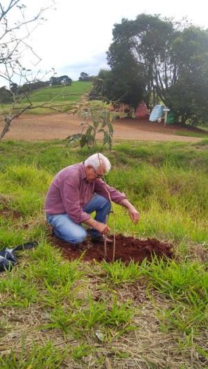 IDR-Paraná, IAT e M.A maquinas agrícolas comemoram a semana do Meio Ambiente com plantio de árvores