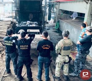Polcia Federal incinera 2.773 Kg de entorpecentes em Maring