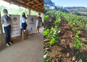 Programa de distribuio de sementes do IDR - Paran beneficia agricultores familiares de Roncador