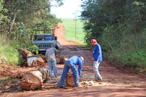 Estradas Rurais recebem melhorias nas Regies do Alto Alegre e Piquiriva