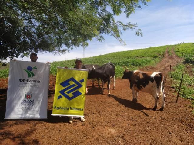 Banco Agricultor apoia o Desenvolvimento Rural de Iretama
