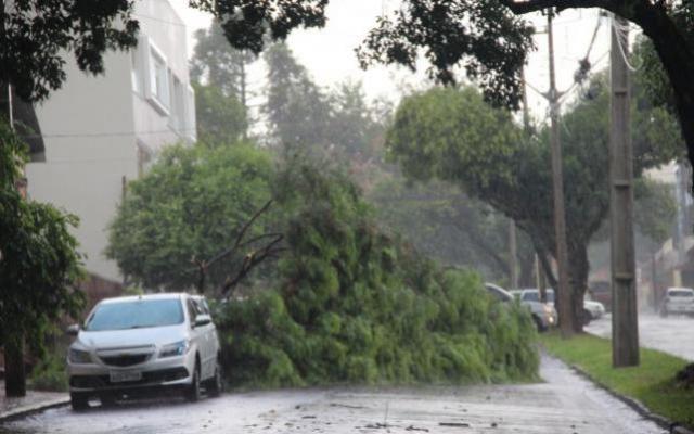 Chuva com fortes ventos e granizo derruba rvores em Campo Mouro