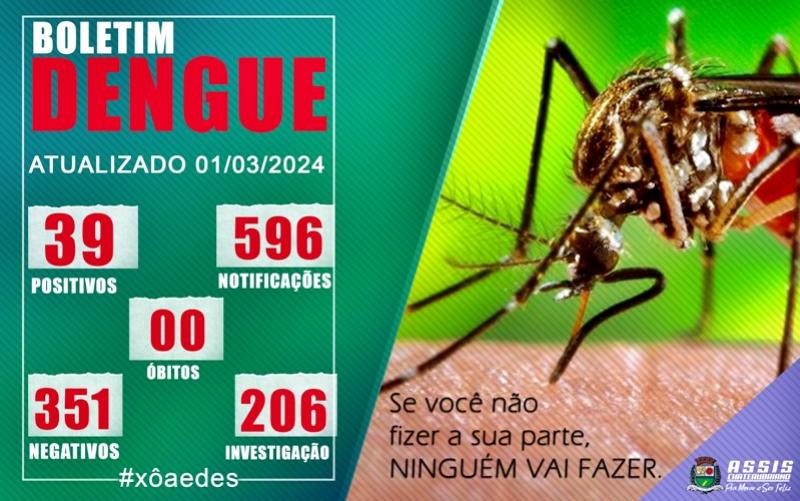 Quinze novos casos de dengue são confirmados em Assis Chateaubriand