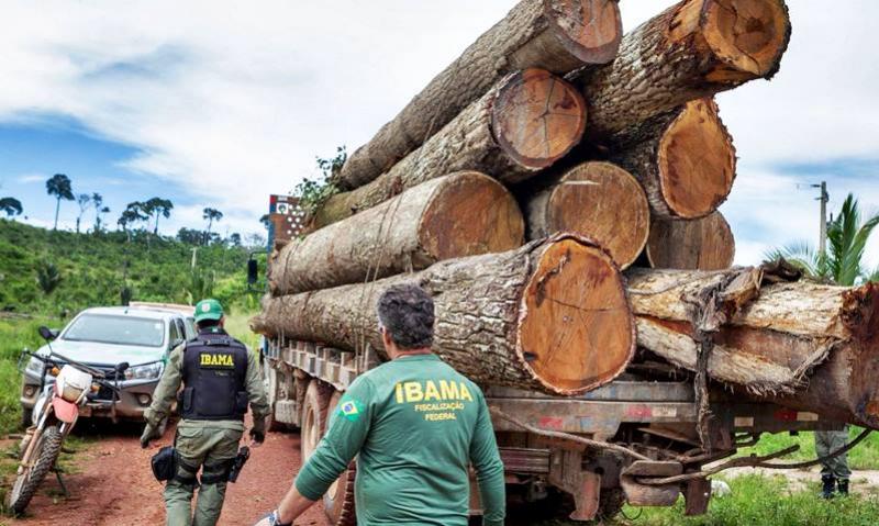 Ibama: Grupo vai fiscalizar fraudes em sistemas de controle florestal