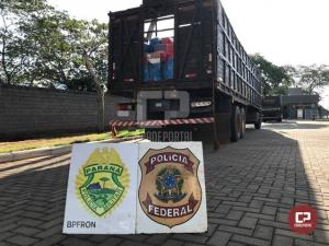 BPFRON e PF apreendem caminhão carregado com cigarros contrabandeados em Palotina