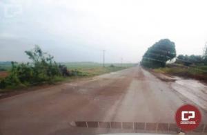 Policia Rodoviria Estadual faz retirada de rvore aps chuva forte em Assis Chateaubriand