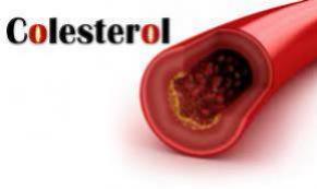 Colesterol: tipos e fatores de risco