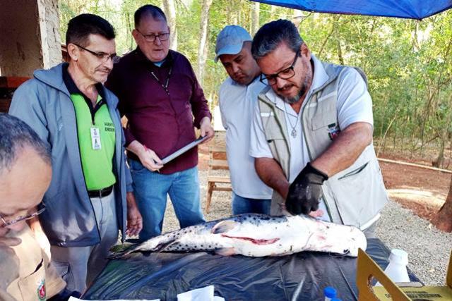 Secretaria de Sade coleta toxinas de peixes venenosos na regio do Lago de Itaipu