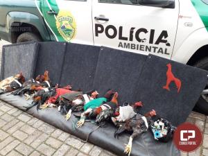 Polcia Ambiental prende quatro pessoas pela prtica de Rinha de Galo no municpio de Prola/PR