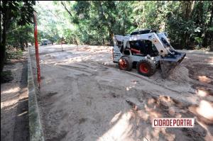 Bosque Uirapuru  recuperado e est  praticamente livre dos caramujos