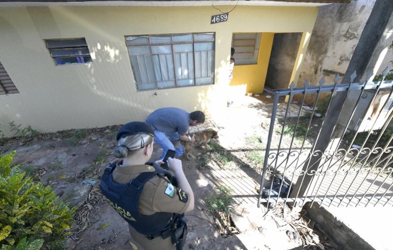 Em operao conjunta, denncias de maus-tratos a cachorro so confirmadas no 1 de Maio em Umuarama