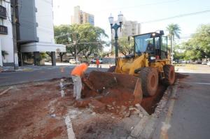Prefeitura realiza adequaes em canteiro da Castelo Branco em Umuarama