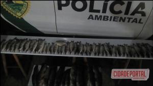 Polcia Ambiental prende dois pescadores amadores com 55 peixes abaixo da medida permitida em So Jorge do Patrocnio