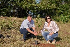 Prefeito de Umuarama acompanha empresa no plantio de rvores nativas