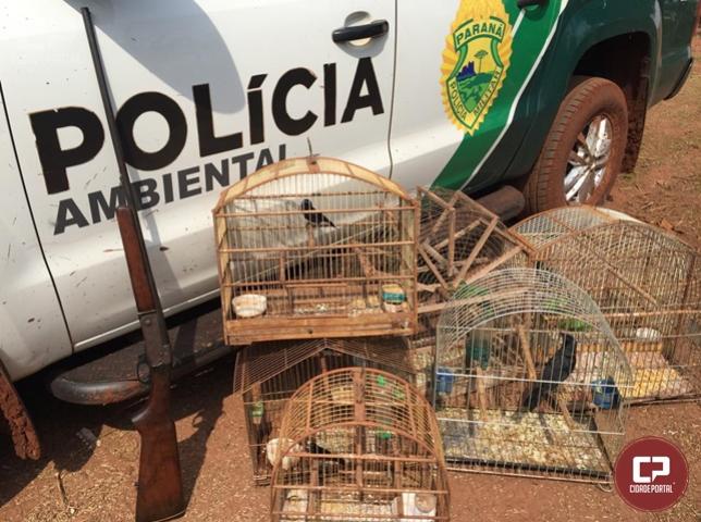 Polcia Ambiental de Umuarama prende uma pessoa por posse de arma e animais silvestres mantidos em cativeiro