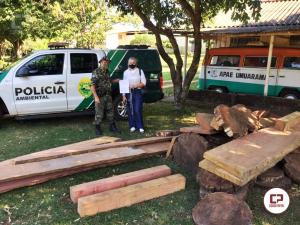Polcia Ambiental de Umuarama realiza doao de madeiras nativas apreendidas para Apae de Umuarama