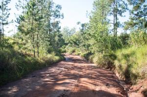 Trecho da Estrada Jaborandi recebe readequao em Umuarama