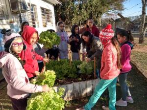 Alunos de Santa Eliza aprendem a fazer compostagem e criam horta