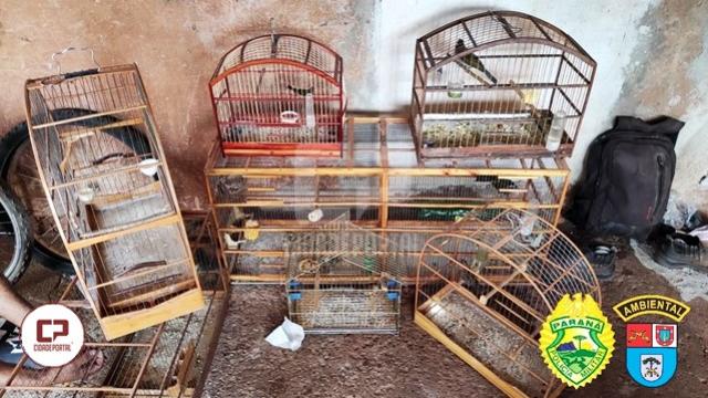 Polícia Ambiental apreende 15 aves e autua criador em Loanda