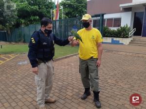 PRF de Guara resgata ave silvestre com sinais de maus tratos