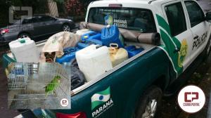 Polcia Ambiental de Umuarama apreende ave mantida em cativeiro e combustvel armazenado sem autorizao