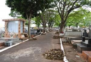 Mutiro inicia limpeza do Cemitrio Municipal