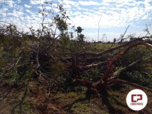 Polcia Ambiental de Umuarama flagra mquinas derrubando rvores nativas sem autorizao