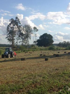 Dia do Agricultor em Umuarama lembra a importncia do homem no campo