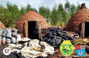 Polícia Ambiental apreende cerca de 12 toneladas de carvão em Guairaça