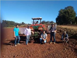 Novo projeto de avaliao de cultivares de mandioca  instalado em Janipolis