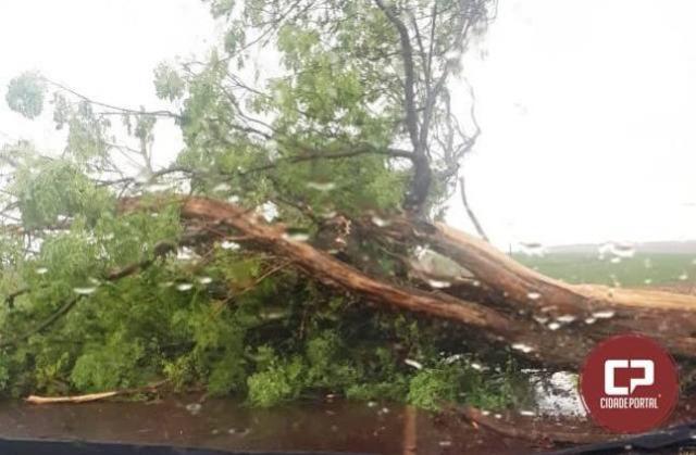 Policia Rodoviria Estadual faz retirada de rvore aps chuva forte em Assis Chateaubriand