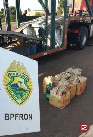BPFron apreende grande quantidade de azeite de oliva e mercadorias contrabandeadas em Corbélia