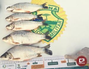 Polcia Ambiental atua pescador em Alto Paraso com peixes nativos fora do tamanho permitido