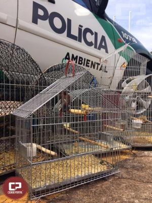 Polcia Ambiental notifica duas pessoas por manter aves em cativeiro no municpio de Goioer