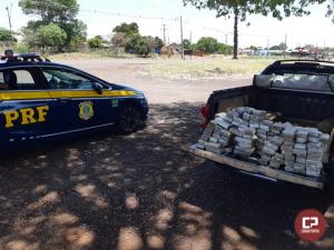 PRF prende homem transportando mais de 65 kg de maconha em Santa Tereza do Oeste
