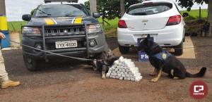 PRF encontra 23 kg de droga em tanque de combustvel no municpio de Cu Azul