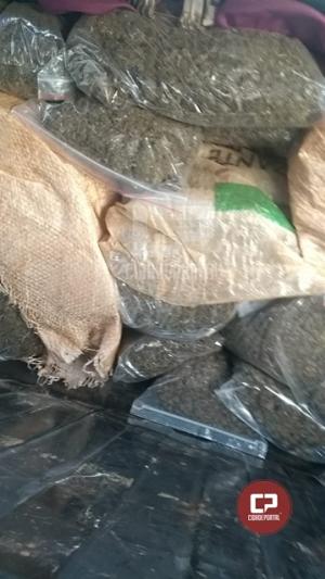 Denarc de Cascavel apreende adolescente transportando 61,3 kg de Skunk em Nova Laranjeiras