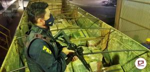 PRF apreende 11 toneladas de maconha no Paran, droga estava escondida em meio a carga de milho