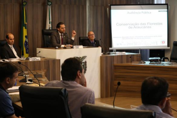 Audiência discute formas de conservação e estímulo ao plantio de Araucárias no Paraná