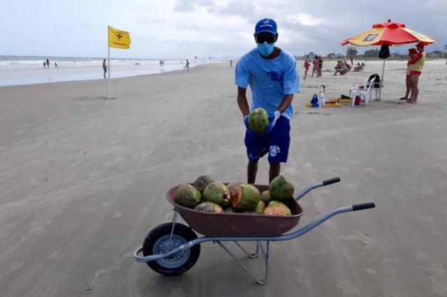 Sanepar coleta coco verde nas praias e envia cascas a projeto ambiental sustentável